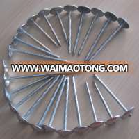 screw twist shank galvanized roofing nail for African market