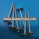 2'' 3'' Zinc Plated Mushroom Head Roofing Nail